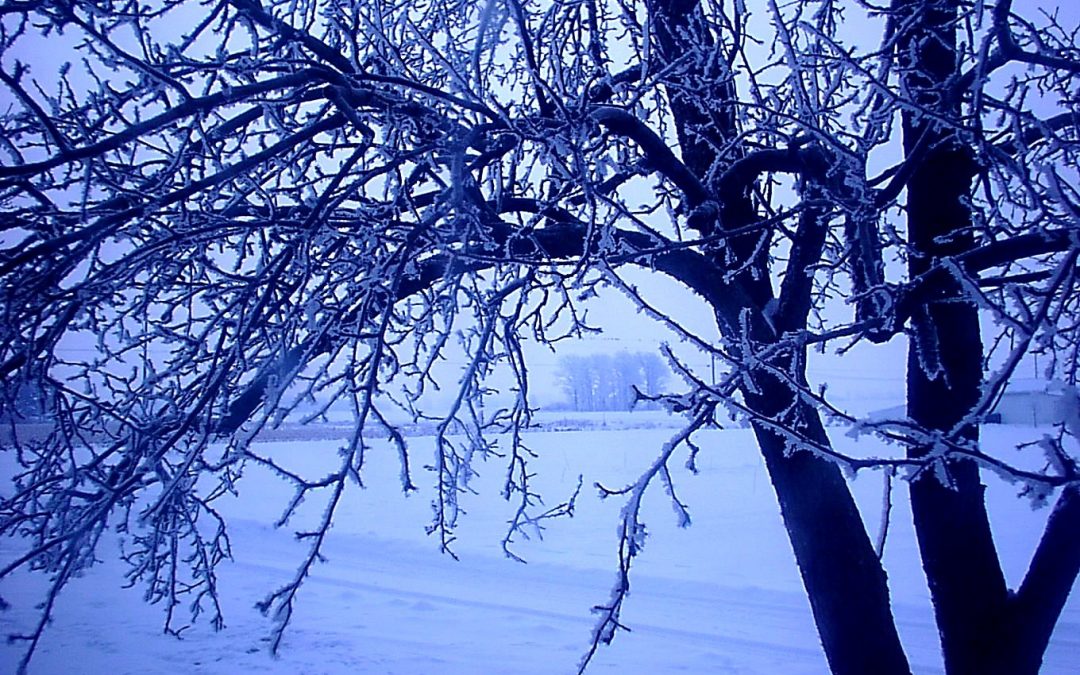 5 Tips to Reduce Stress & Anxiety During the Winter